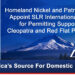 Homeland Nickel and Patriot Nickel Appoint SLR International Corporation for Permitting Support at Cleopatra and Red Flat Properties